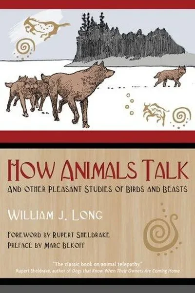 How Animals Talk: And Other Pleasant Studies of Birds and Beasts — dewey-pub:Bear & Company