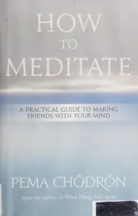 How to Meditate: A Practical Guide to Making Friends with Your Mind — photo 2
