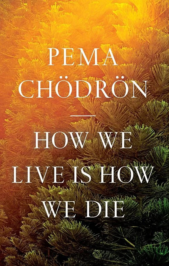 How We Live Is How We Die — photo 3