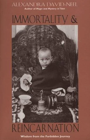 Immortality and Reincarnation: Wisdom from the Forbidden Journey (Original)