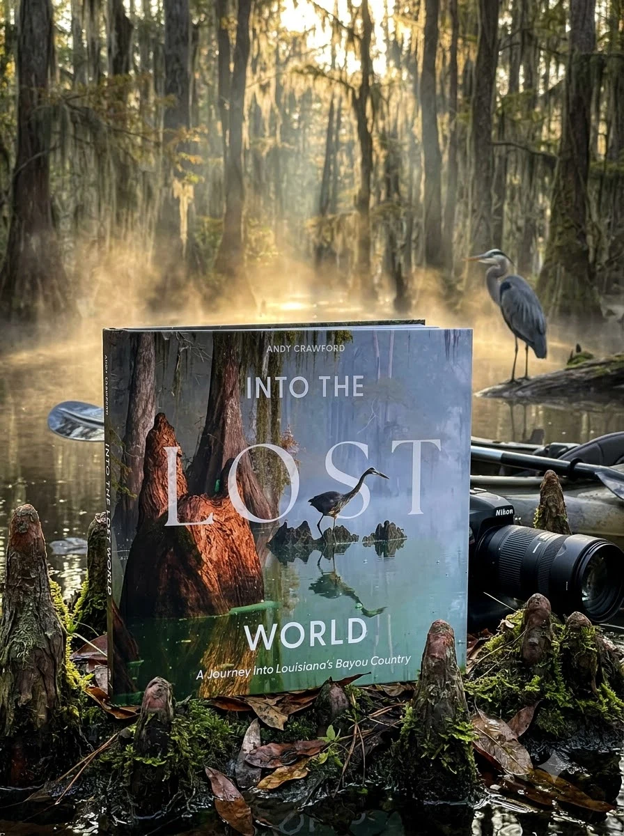 Into the Lost World: A Journey Into Louisiana's Bayou Country