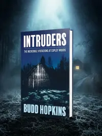 Intruders: The Incredible Visitations at Copley Woods — photo 1