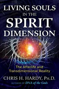 Living Souls in the Spirit Dimension: The Afterlife and Transdimensional Reality — photo 2