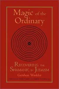 Magic of the Ordinary: Recovering the Shamanic in Judaism — photo 2