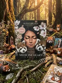 Medicine Heart Oracle (Pocket Panda Edition): Nourishing Transfusions of Medicinal Grace Fairchild, Alana — photo 1