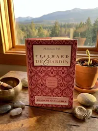 Meditations with Teilhard de Chardin (Original) — photo 1