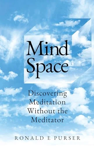 Mind Space: Discovering Meditation Without the Meditator — photo 3