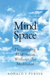Mind Space: Discovering Meditation Without the Meditator — photo 2