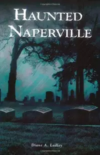 Naperville's Haunted Memories — photo 2