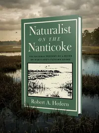 Naturalist on the Nanticoke: The Natural History of a River on Maryland's Eastern Shore — photo 1