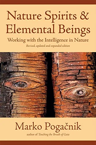 Nature Spirits & Elemental Beings: Working with the Intelligence in Nature (Edition, Revised)
