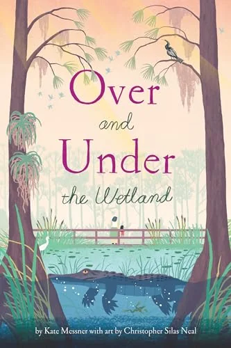 Over and Under the Wetland — photo 3