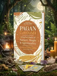 Pagan Curiouser: A Joyful Path of Nature, Magic & Spirituality Deangelo, Debra — photo 1