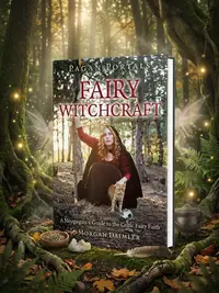 Pagan Portals: Fairy Witchcraft — photo 1