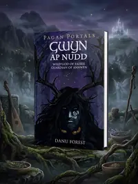 Pagan Portals - Gwyn AP Nudd: Wild God of Faery, Guardian of Annwfn — photo 1