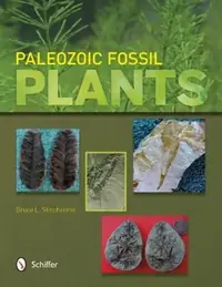 Paleozoic Fossil Plants — photo 2