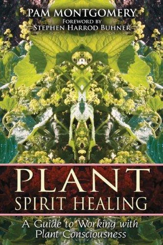 Plant Spirit Healing: A Guide to Working with Plant Consciousness — photo 3