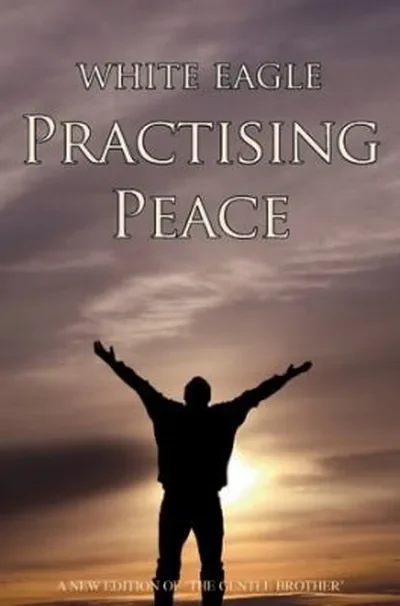 Practising Peace: The Gentle Brother — dewey-133