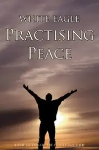 Practising Peace: The Gentle Brother — photo 2