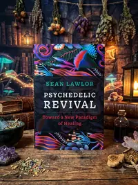 Psychedelic Revival: Toward a New Paradigm of Healing — photo 1