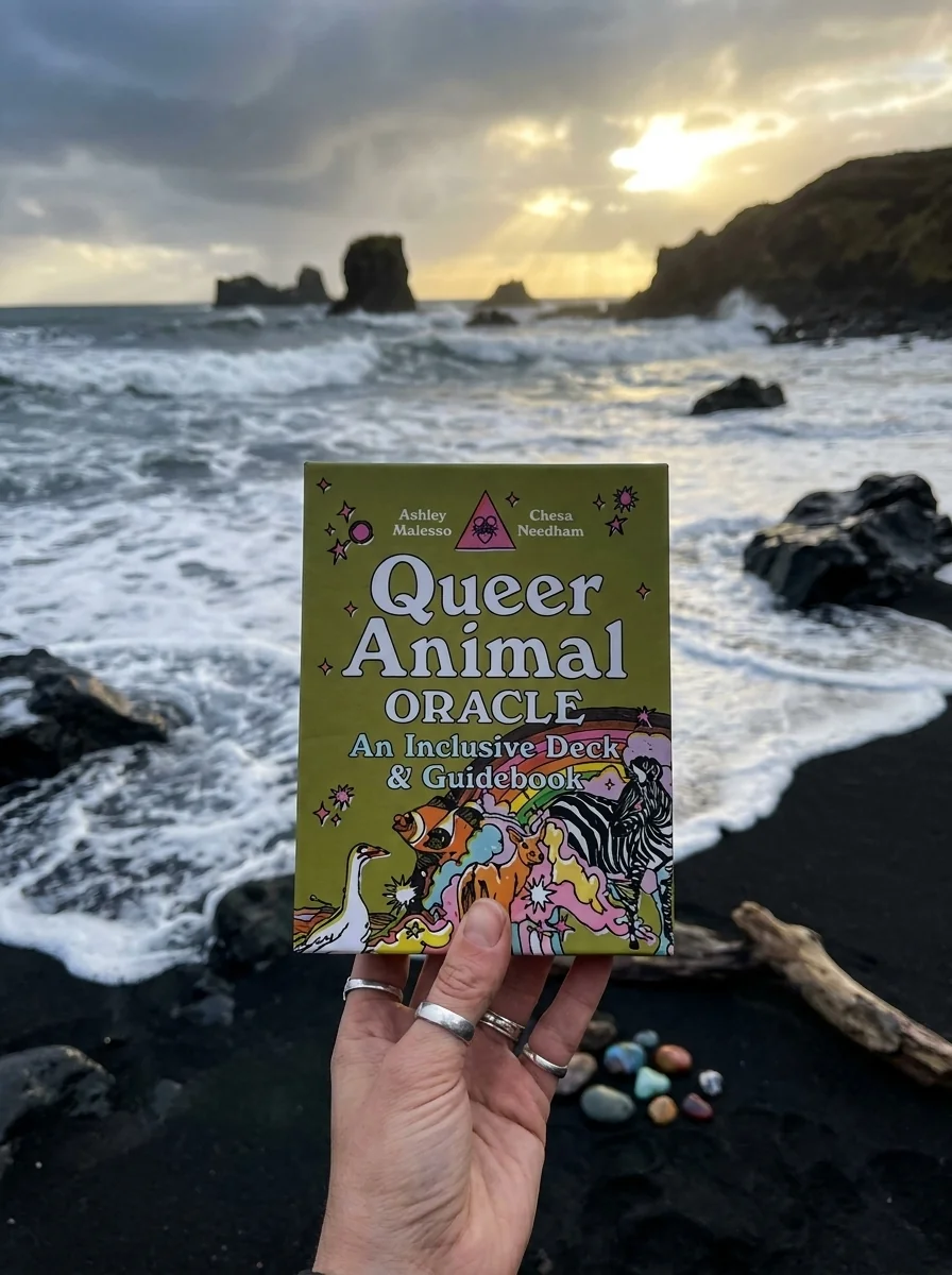 Queer Animal Oracle: An Inclusive Deck & Guidebook — photo 2