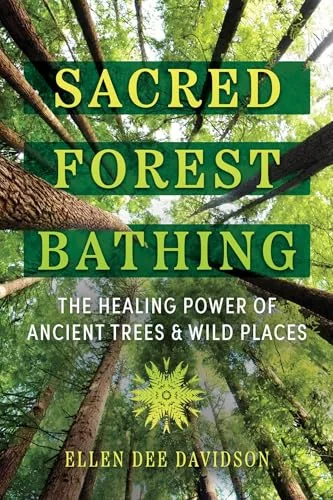 Sacred Forest Bathing: The Healing Power of Ancient Trees and Wild Places — photo 3