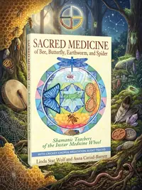 Sacred Medicine of Bee, Butterfly, Earthworm, and Spider: Shamanic Teachers of the Instar Medicine Wheel [With CD (Audio)] — photo 1