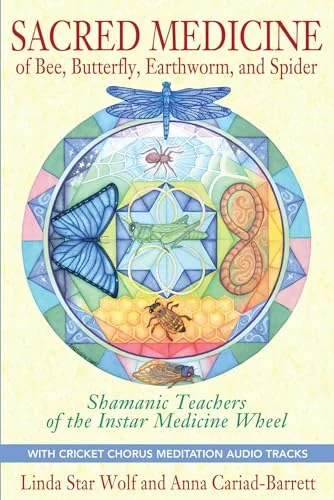 Sacred Medicine of Bee, Butterfly, Earthworm, and Spider: Shamanic Teachers of the Instar Medicine Wheel [With CD (Audio)] — photo 3