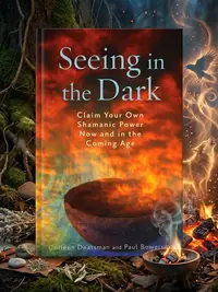 Seeing in the Dark: Claim Your Own Shamanic Power Now and in the Coming Age — photo 1