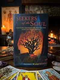 Seekers of the Soul: Seven Psychics and Intuitives Talk about Their Work, and The Lives That Led Them To It — photo 1