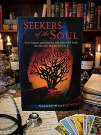 Seekers of the Soul: Seven Psychics and Intuitives Talk about Their Work, and The Lives That Led Them To It — photo 1
