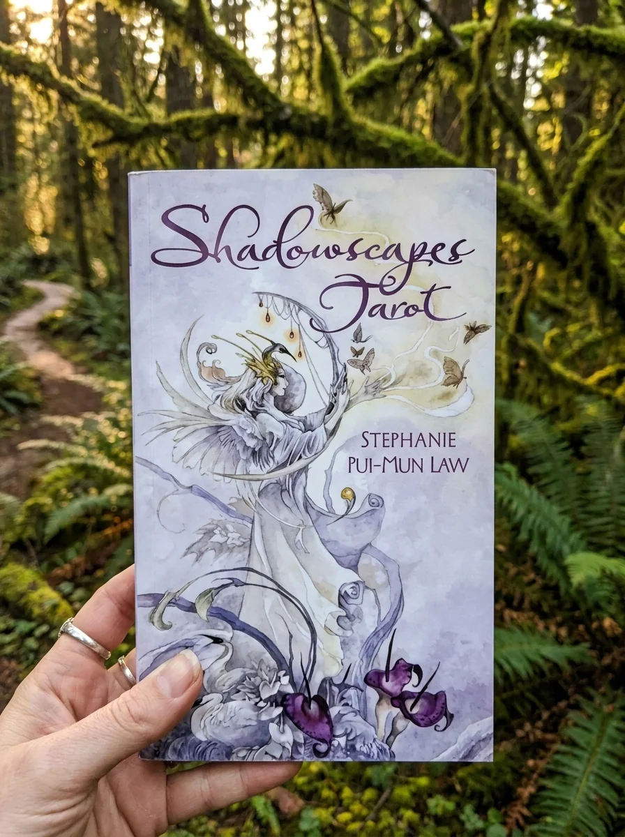 Shadowscapes Tarot [With Booklet] — photo 2