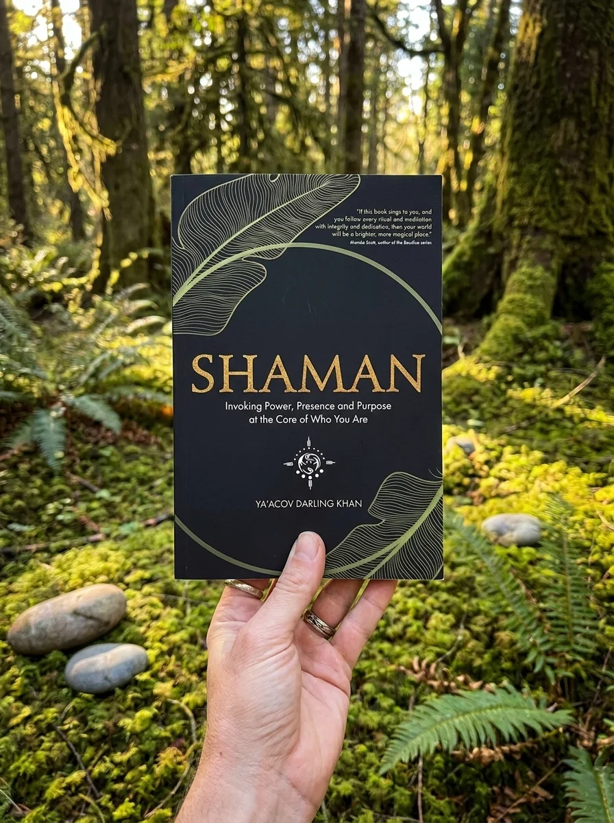 Shaman, Invoking Power, Presence and Purpose at the Core of Who You Are — photo 2