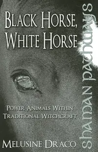 Shaman Pathways - Black Horse, White Horse Draco, Melusine — photo 2