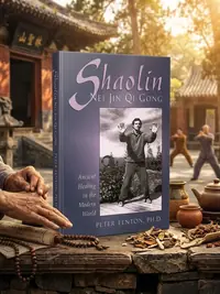 Shaolin Nei Jin Qi Gong: Ancient Healing in the Modern World — photo 1
