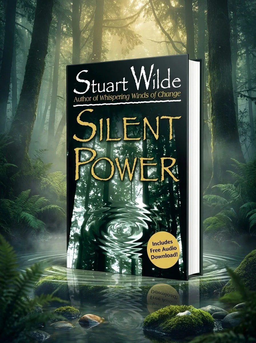 Silent Power
