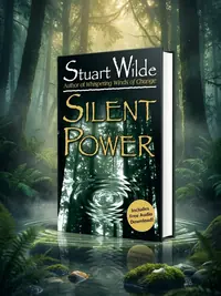 Silent Power — photo 1