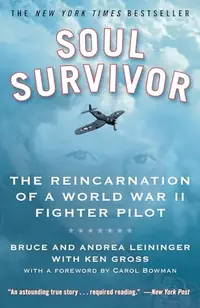 Soul Survivor: The Reincarnation of a World War II Fighter Pilot — photo 2