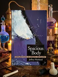Spacious Body: Explorations in Somatic Ontology — photo 1