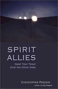Spirit Allies: Meet Your Team from the Other Side — photo 2