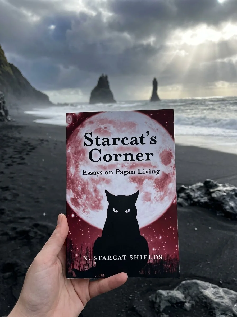 Starcat's Corner — photo 2