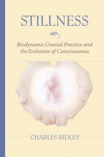 Stillness: Biodynamic Cranial Practice and the Evolution of Consciousness — photo 3