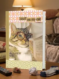 Stuff on My Cat Journal [With Stickers] — photo 1