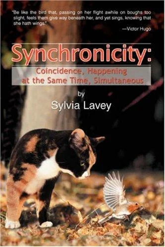 Synchronicity: Coincidence, Happening at the Same Time, Simultaneous