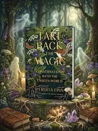 Take Back the Magic: Conversations with the Unseen World — photo 1