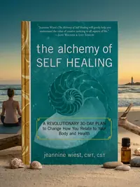 The Alchemy of Self Healing: A Revolutionary 30 Day Plan to Change How You Relate to Your Body and Health — photo 1