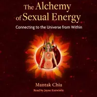 The Alchemy of Sexual Energy: Connecting to the Universe from Within — photo 2