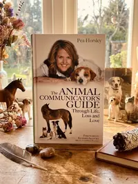 The Animal Communicator's Guide Through Life, Loss and Love — photo 1