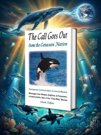 The Call Goes Out from the Cetacean Nation — photo 1