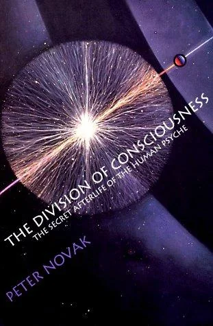 The Division of Consciousness: The Secret Afterlife of the Human Psyche: The Secret Afterlife of the Human Psyche